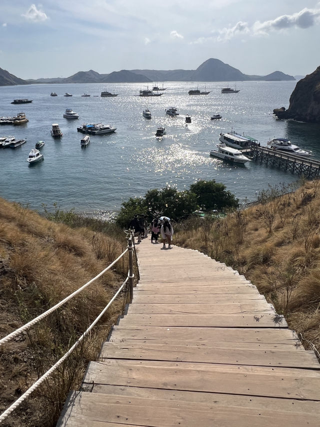 Labuan Bajo Day Trip: Islands, Dragons, and Beaches