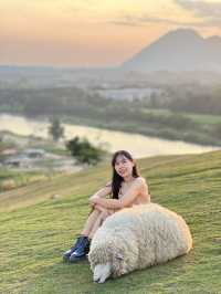 คาเฟ่  ฟาร์มแกะในเมืองเชียงราย ABONZO