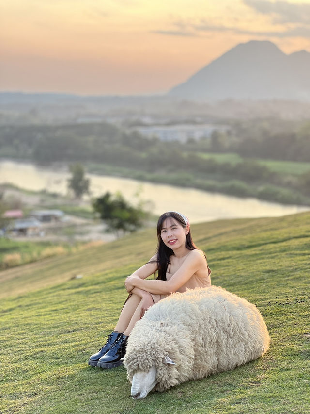 คาเฟ่  ฟาร์มแกะในเมืองเชียงราย ABONZO