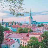 【世界文化遺産の街】タリン旧市街🇪🇪