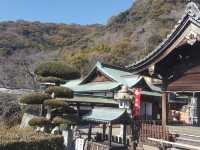 日本神戶生田神社🇯🇵