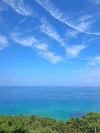 미술관에서 바다구경도 하고~ 전시관람도 하고~🌊