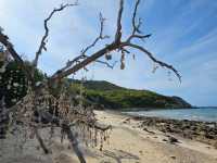 หาดแสม เกาะล้าน