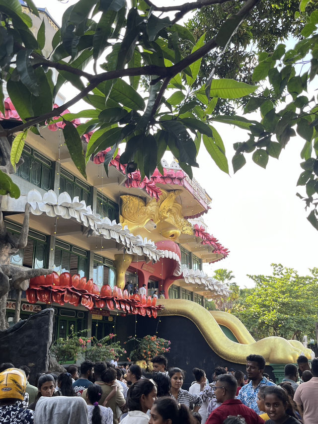 🏞️🇱🇰 Sigiriya + Dambulla Day Trip – Sri Lanka’s Ancient Wonders in One Day
