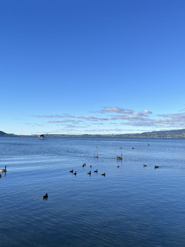 💙🦢 New Zealand’s Lake Days – Where the Sky Meets the Water