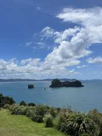 紐西蘭旅遊景點—🌊 Cathedral Cove｜自然雕刻的海上拱門美景 
