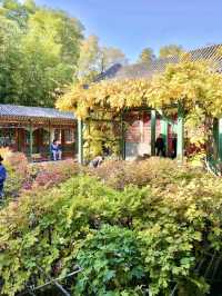 Whispers of the Qing: Summer Stillness at Prince Gong’s Mansion