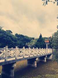 桃園忠義公園介紹 🌳