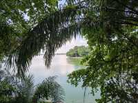Mandai - Vương Quốc Các Loài Thú