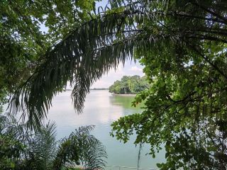 Mandai - Vương Quốc Các Loài Thú