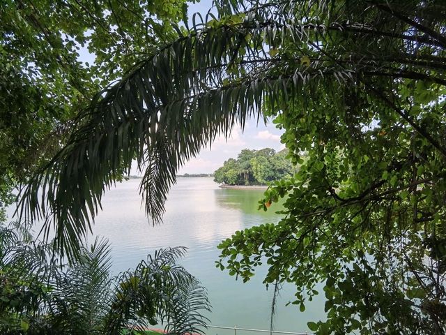 Mandai - Vương Quốc Các Loài Thú