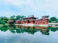 평화로운 역사, 아름다운 건축 - 'Byodoin Temple' 방문기
