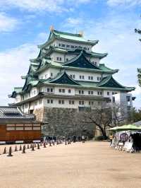 Echoes of the Past at Nagoya Castle