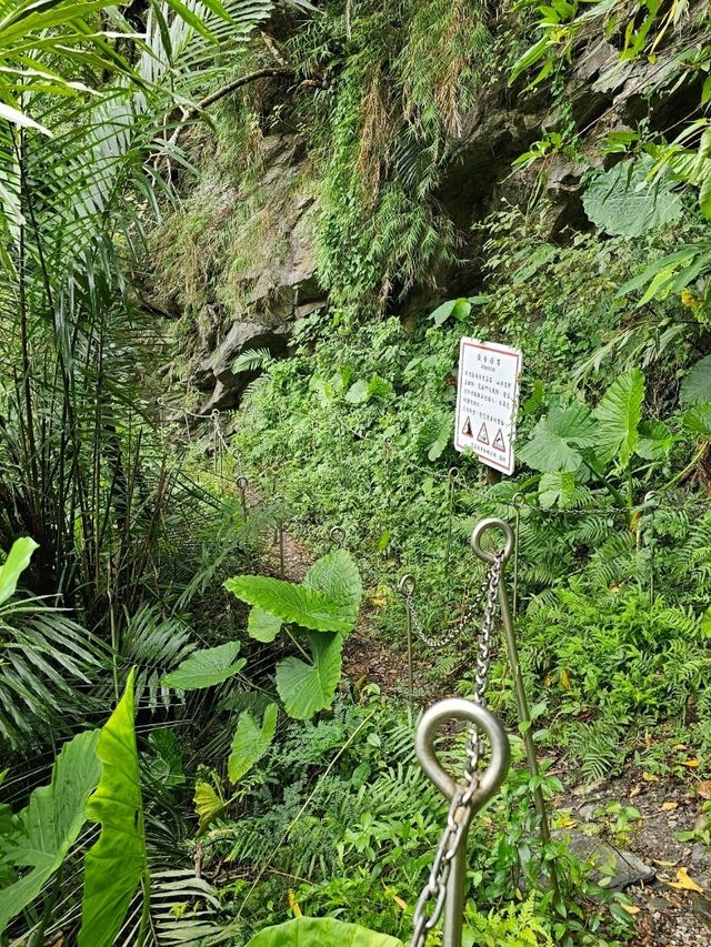 花蓮｜秘境玩水夏日選擇〔翡翠谷〕💧🏞️