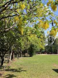 🕊️ Choeung Ek Killing Fields: A Place of Silence, A Plea for Peace ⚖️🌿