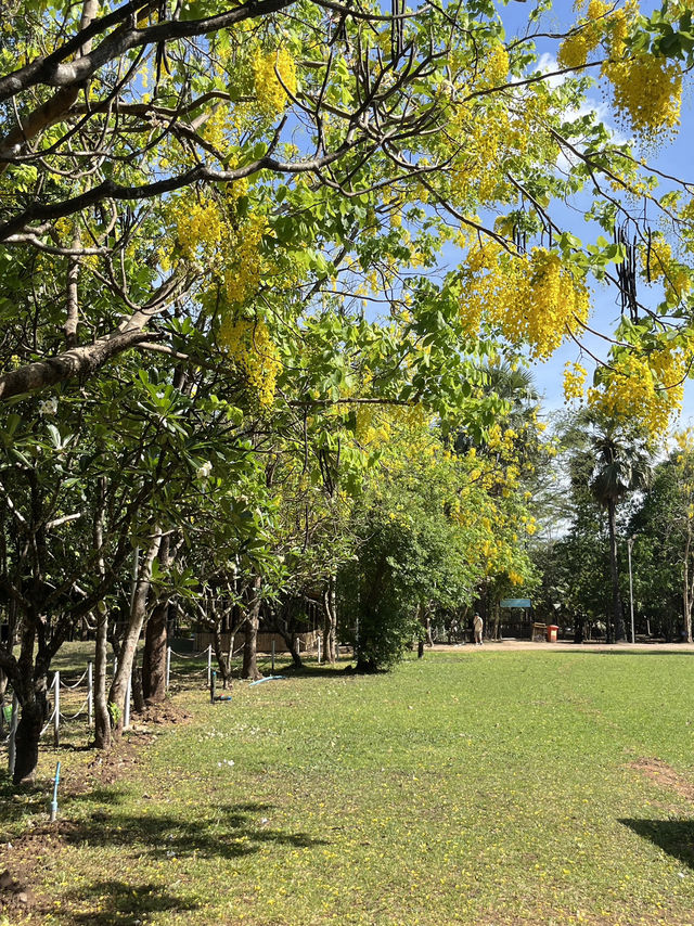 🕊️ Choeung Ek Killing Fields: A Place of Silence, A Plea for Peace ⚖️🌿