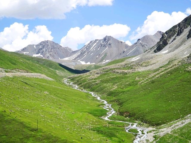 Amazing North Xinjiang