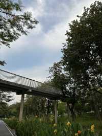 BENCHAKITTI PARK ฟีลธรรมชาติกลางอโศก🌳🌱