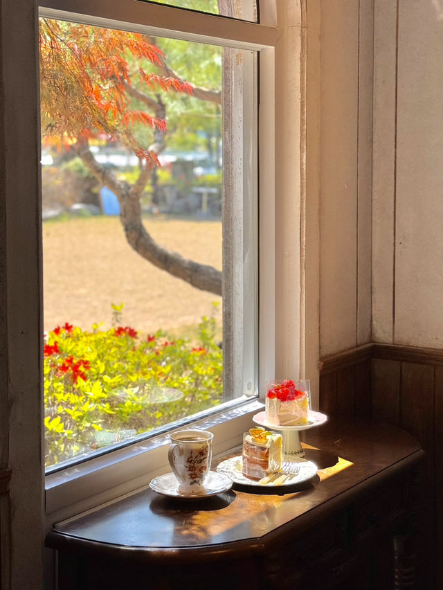 독일 가정집 분위기 예쁜카페 하이베를리너☕️