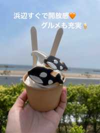 神戸須磨シーワールドでシャチの癒しと感動体験！