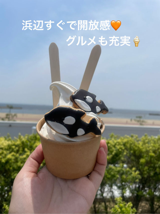 神戸須磨シーワールドでシャチの癒しと感動体験！