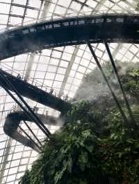 Misty Jungle in a Glass Dome