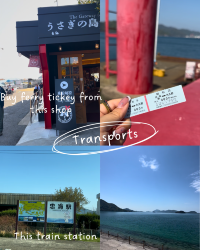 [Japan 🇯🇵] Okunoshima (Rabbit Island): An Unforgettable Hoppy Adventure!