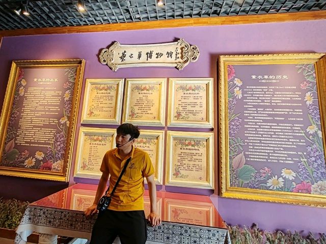 Millennial Soul of Purple