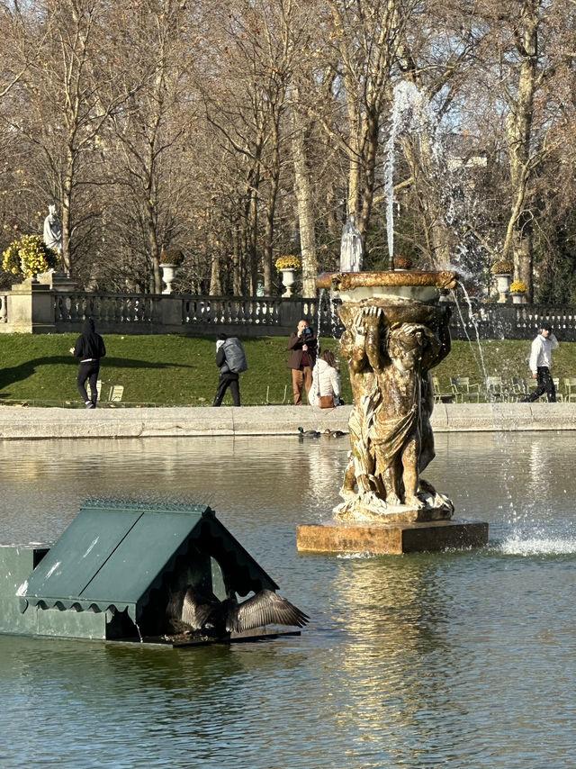 Luxembourg Garden: Where Paris Plays Hoocky