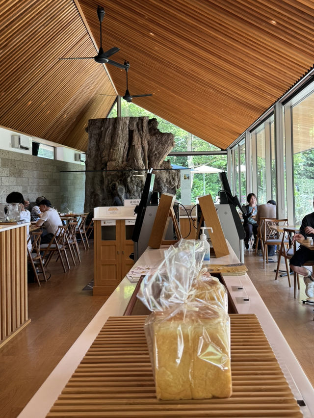 【鎌倉】緑に囲まれたカフェ3選