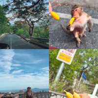 1 Day Trip บางแสน ปล่อยจอยริมทะเล ใกล้กรุงเทพฯ”