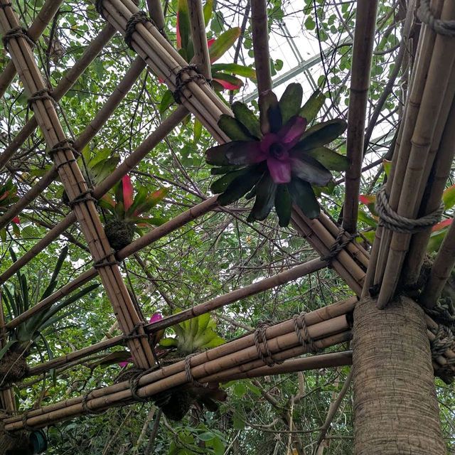 Dallas World Aquarium