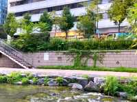 Cheonggyecheon Stream – A Peaceful Walk in the Heart of Seoul
