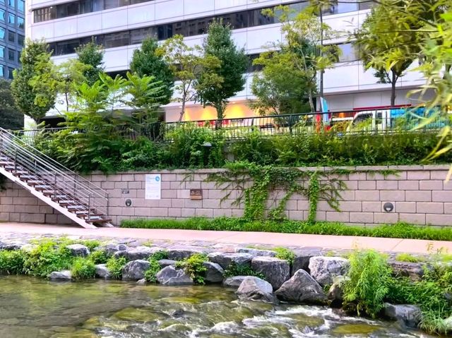 Cheonggyecheon Stream – A Peaceful Walk in the Heart of Seoul