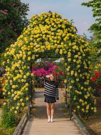 Ashikaga Flower Park สวนดอกไม้ใกล้โตเกียว🌹