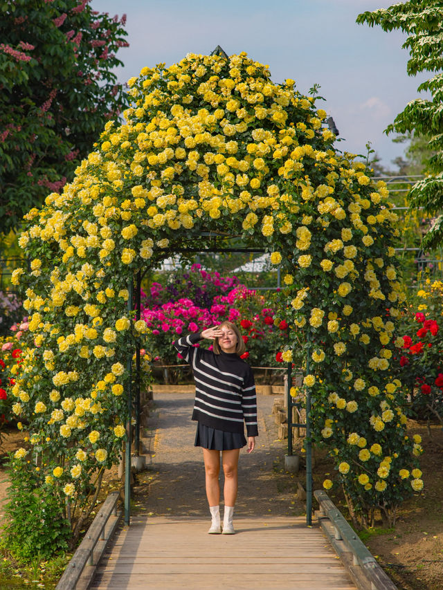 Ashikaga Flower Park สวนดอกไม้ใกล้โตเกียว🌹