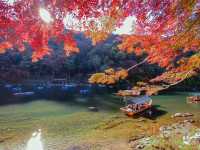 🌿 รีวิว Arashiyama & ป่าไผ่ 