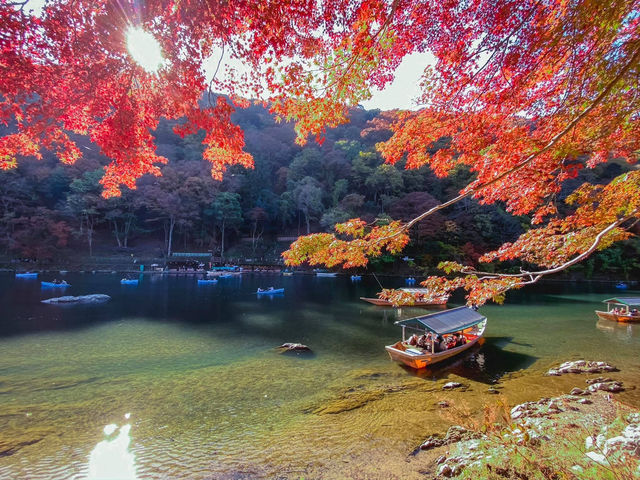 🌿 รีวิว Arashiyama & ป่าไผ่ 