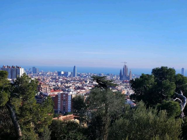 Wandering Through Park Güell