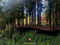 Alishan