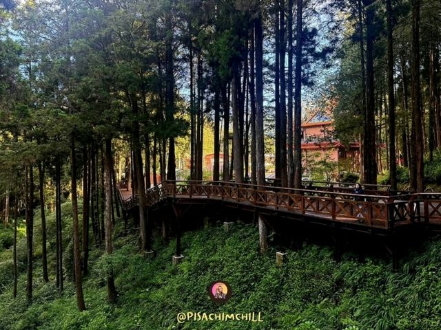 Alishan