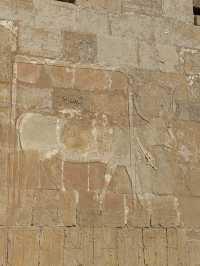 Terraces Of Defiance: A Queen’s Geometry Against the Gods