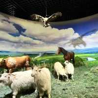 📍Inner Mongolia Museum – What to Know for Your First Visit!