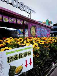 Durian Dreams in the Clouds at LaiFa Genting