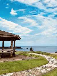 Potential for Dolphin Sightings and Coastal Wildlife