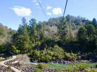 Sentinel Lookout: Where the Gorge Meets the Sky