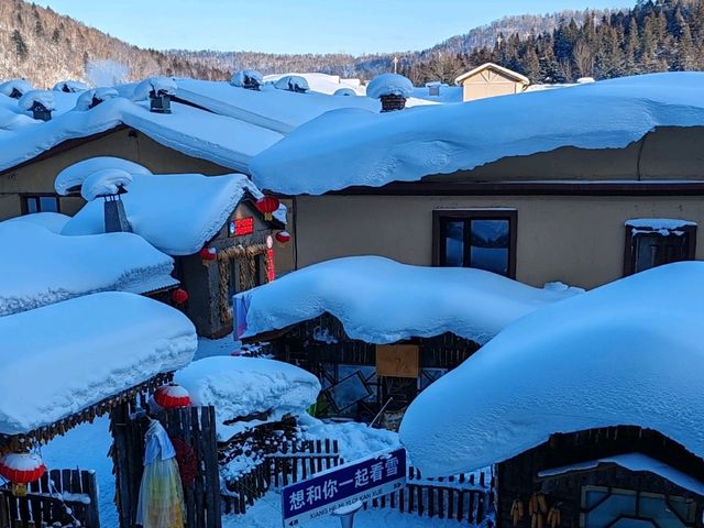 Snow Town Fairytale: The Winter Charm of Mushroom Houses