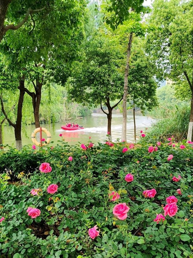 Baima Lake Park – Hangzhou’s Lakeside Oasis of Art & Nature