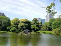 Quiet Moments at Koishikawa Korakuen Garden – Tokyo