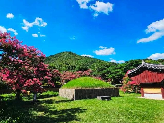 Daegu Park